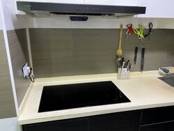 Blk 293C Compassvale Boardwalk (Sengkang), HDB 4 Rooms #470640521